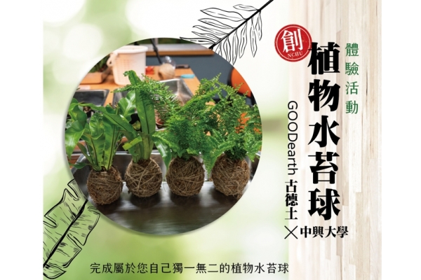 21 Nchu 創 系列 體驗二 植物水苔球 最新消息 磐石產學研究中心